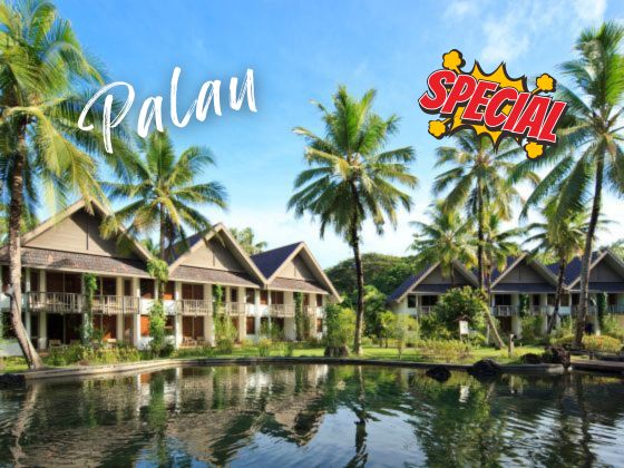 【Special Promotion】Palau Direct Flight Diving Package 6D5N - Palau Pacific Resort